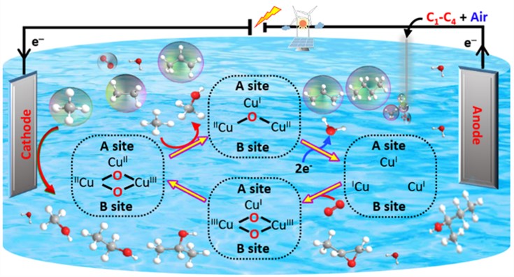 Catalytic oxidation of methane, other light alkanes. and propene is mediated by electrodes modified by the particulate methane monooxygenase (pMMO) and its recombinant protein and bioinspired catalysts.