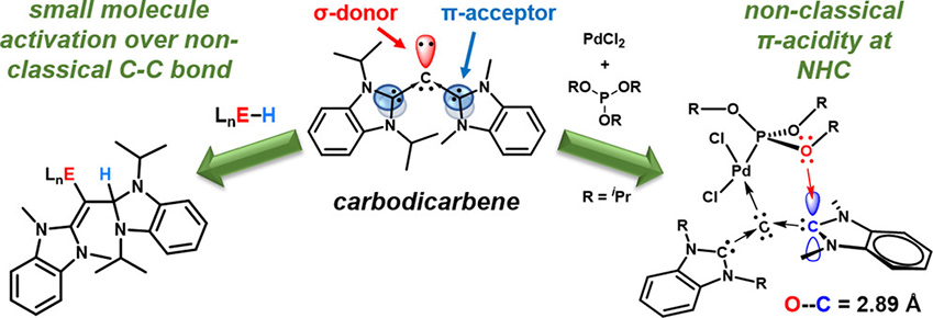 同碳雙碳烯 : 與小分子反應時出乎意料的π-電子接受能力