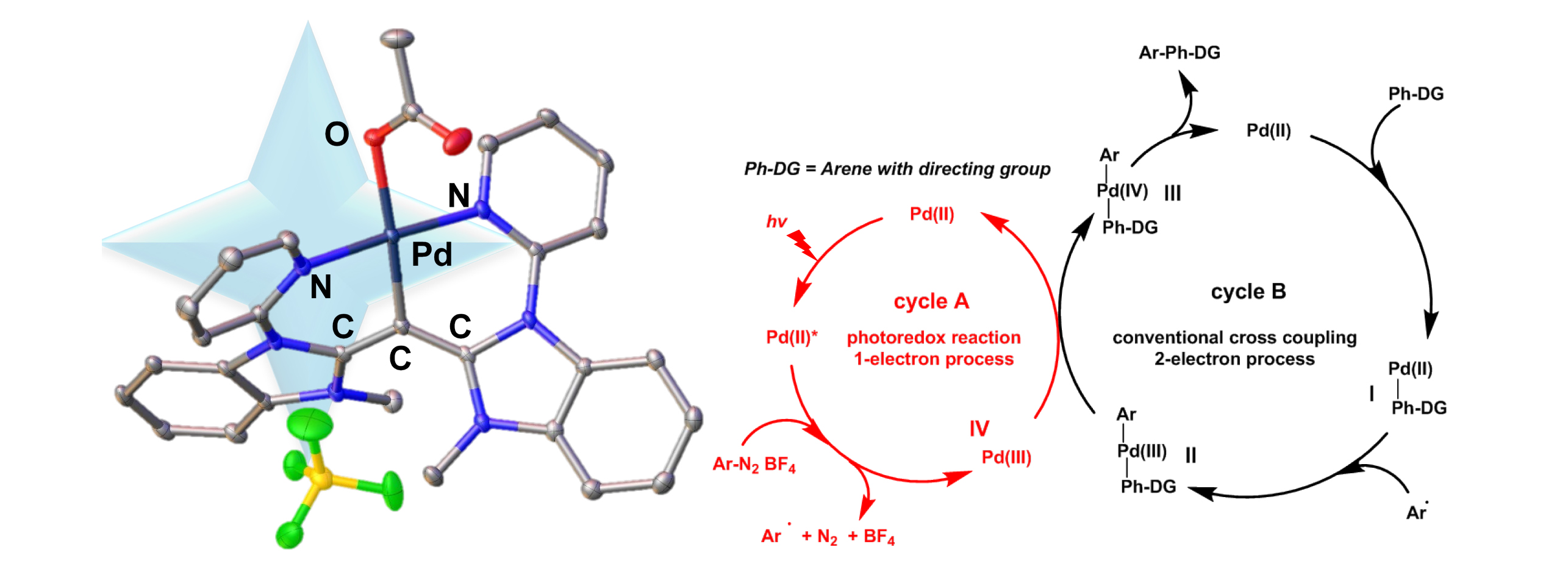 One-Pot Tandem Photoredox and Cross-Coupling Catalysis with a Single Palladium Carbodicarbene Complex