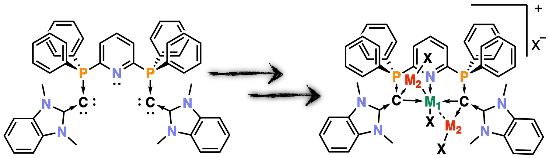 SA Bis-(carbone) Pincer Ligand and Its Coordinative Behavior toward Multi-Metallic Configurations

