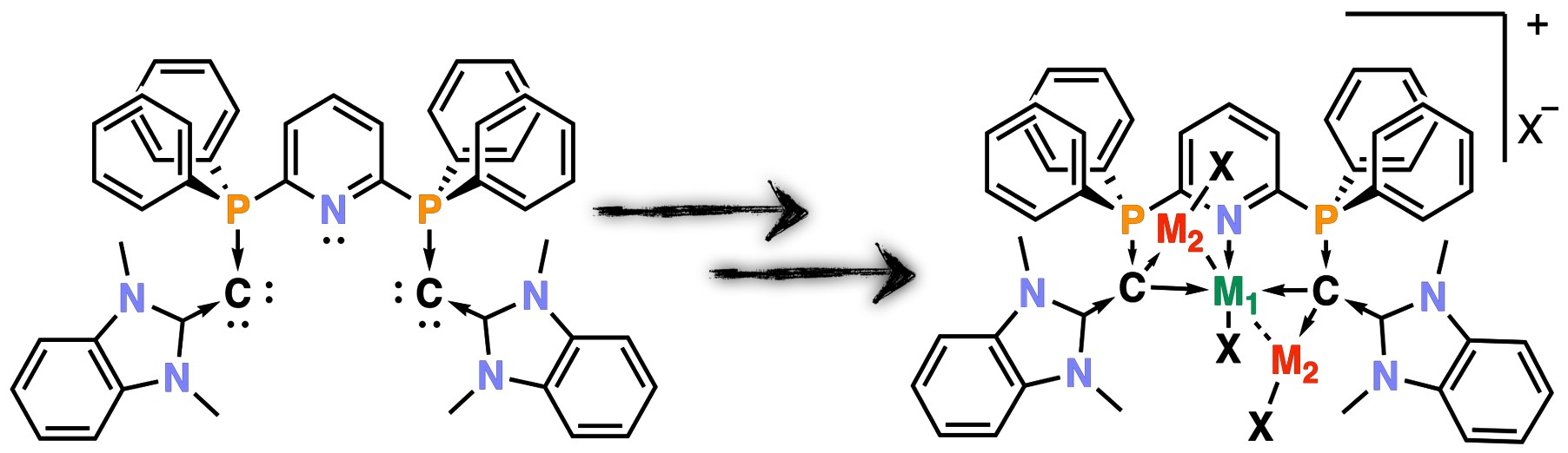 SA Bis-(carbone) Pincer Ligand and Its Coordinative Behavior toward Multi-Metallic Configurations
