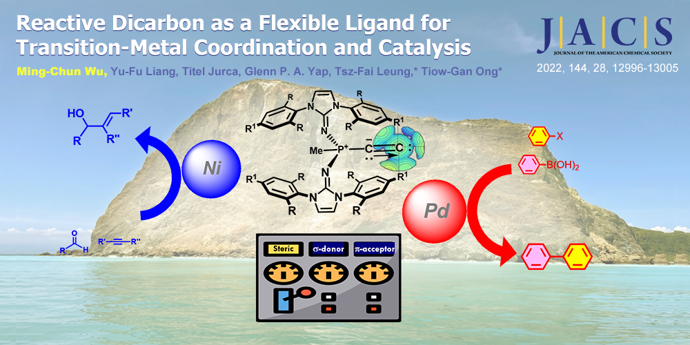 Reactive Dicarbon as a Flexible Ligand for Transition-Metal Coordination and Catalysis