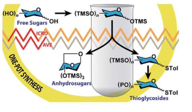 Microwave-Assisted One-Pot Synthesis of 1,6-Anhydrosugars and Orthogonally Protected Thioglycosides