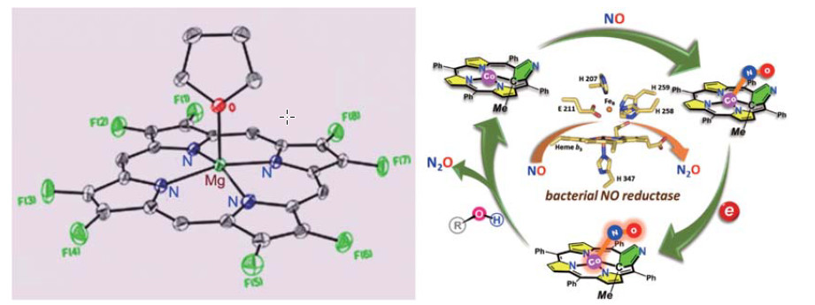 Landmark Progress in Porphyrin Chemistry: Synthesis of Octaluoro-Porphyrin and Cobalt Porphyrins Promoted Conversion of Nitric Oxide to Nitrous Oxide