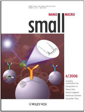 Black magnetic nanoparticle cores with gold functional arms selectively capture target molecules and gather under an external magnetic field