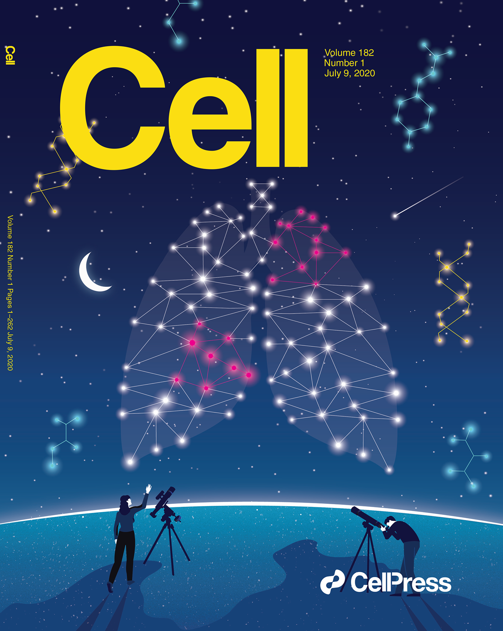 A lung-shaped molecular constellation titled Decoding the Molecular Constellation of Lung Cancer