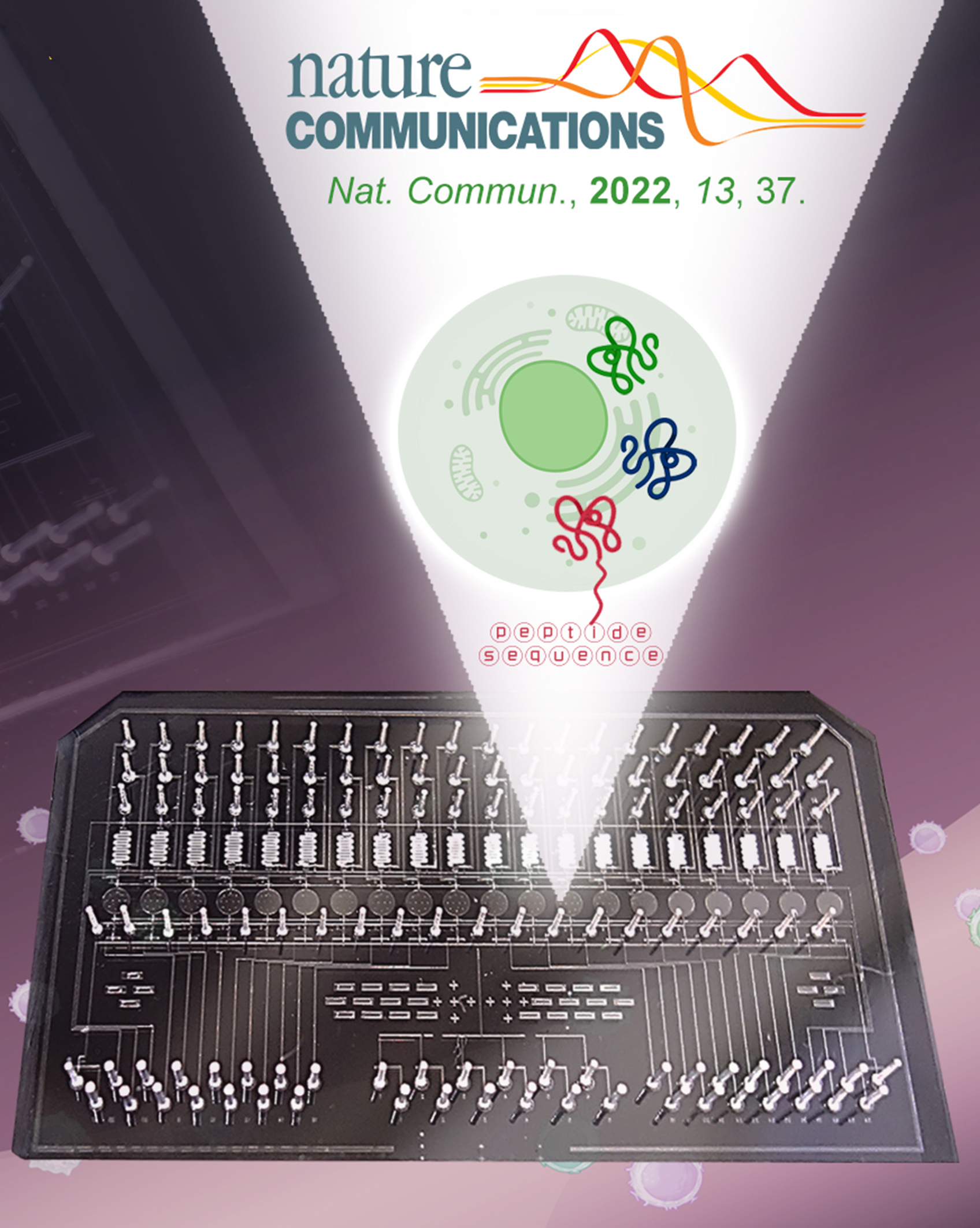 Single-cell proteomics (SCP) can reveal cellular phenotypic heterogeneity and cell-specific functional networks underlying biological processes
