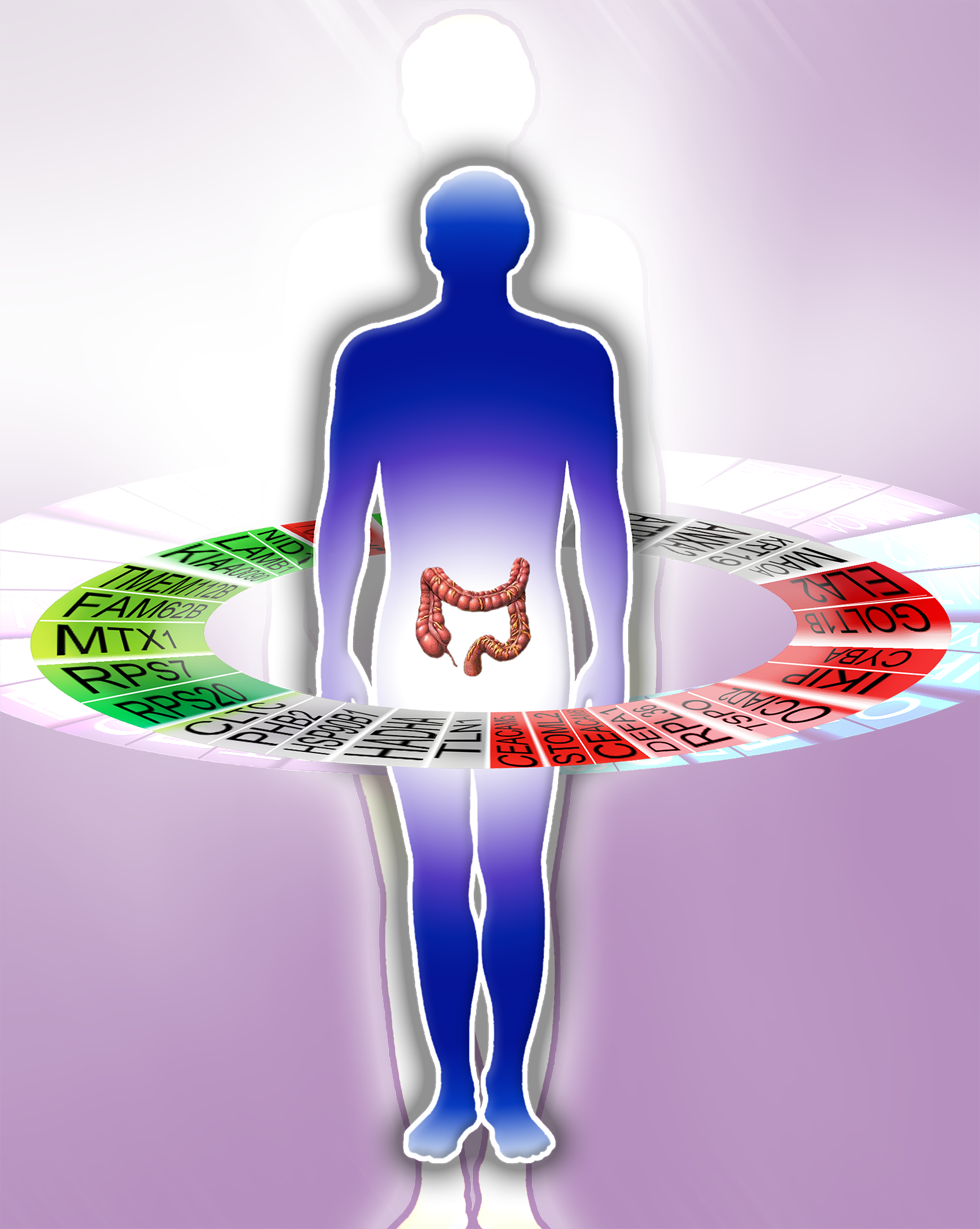Illustration highlighting the colorectal cancer research project.
